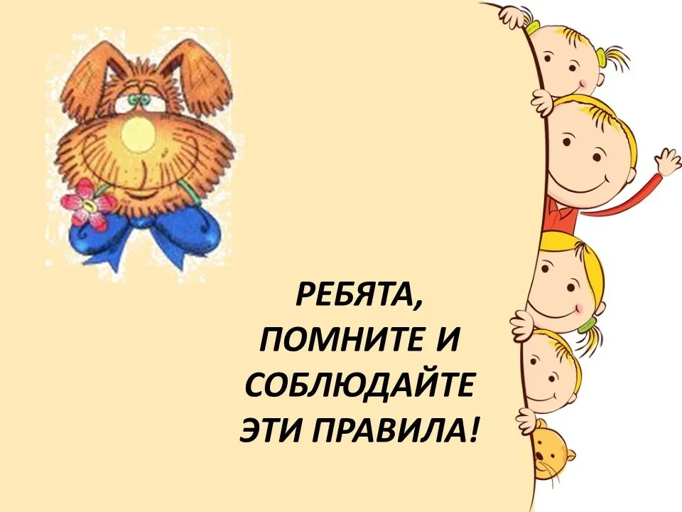 Правила обращения с животными!

Дорогой друг, животные — наши соседи по планете. Они не умеют говори
