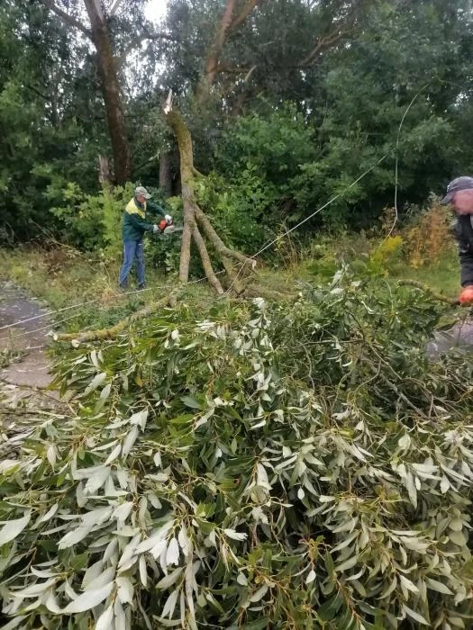 ⚡️Ураганный ветер нанес ощутимый урон энергоснабжению потребителей округа