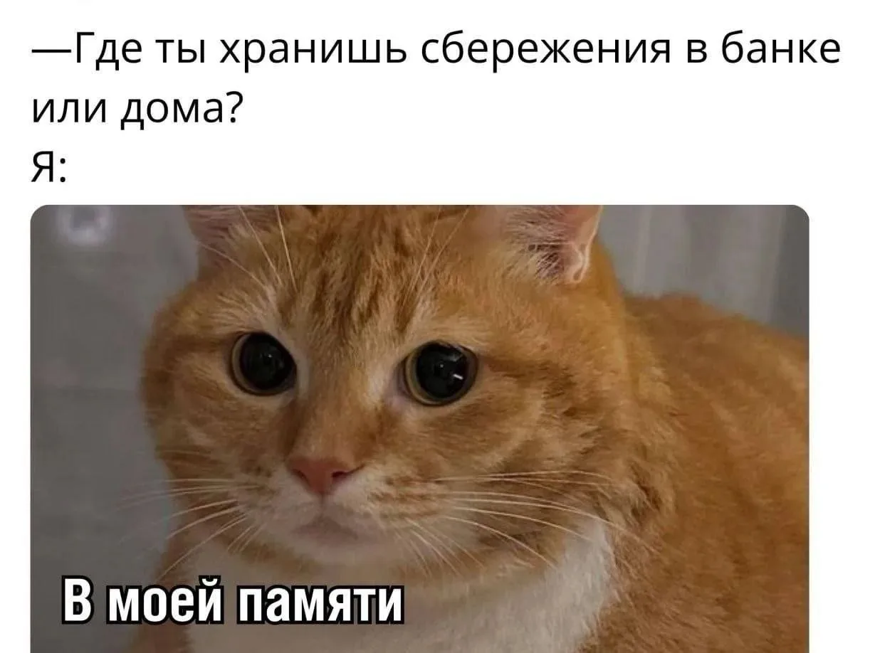 А где вы храните?