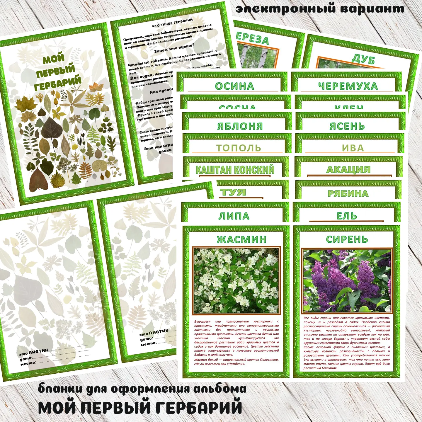 бланки для оформления