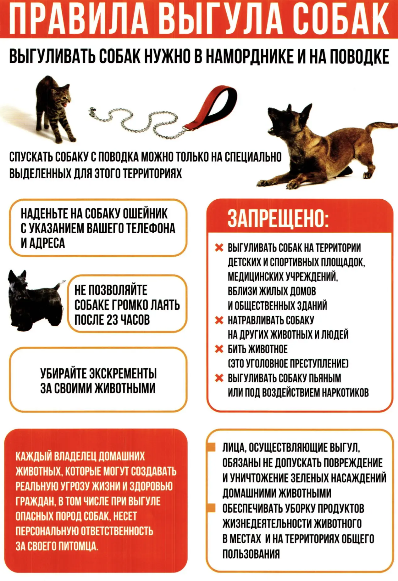 📢 Уважаемые владельцы собак! Напоминаем о правилах выгула питомцев.