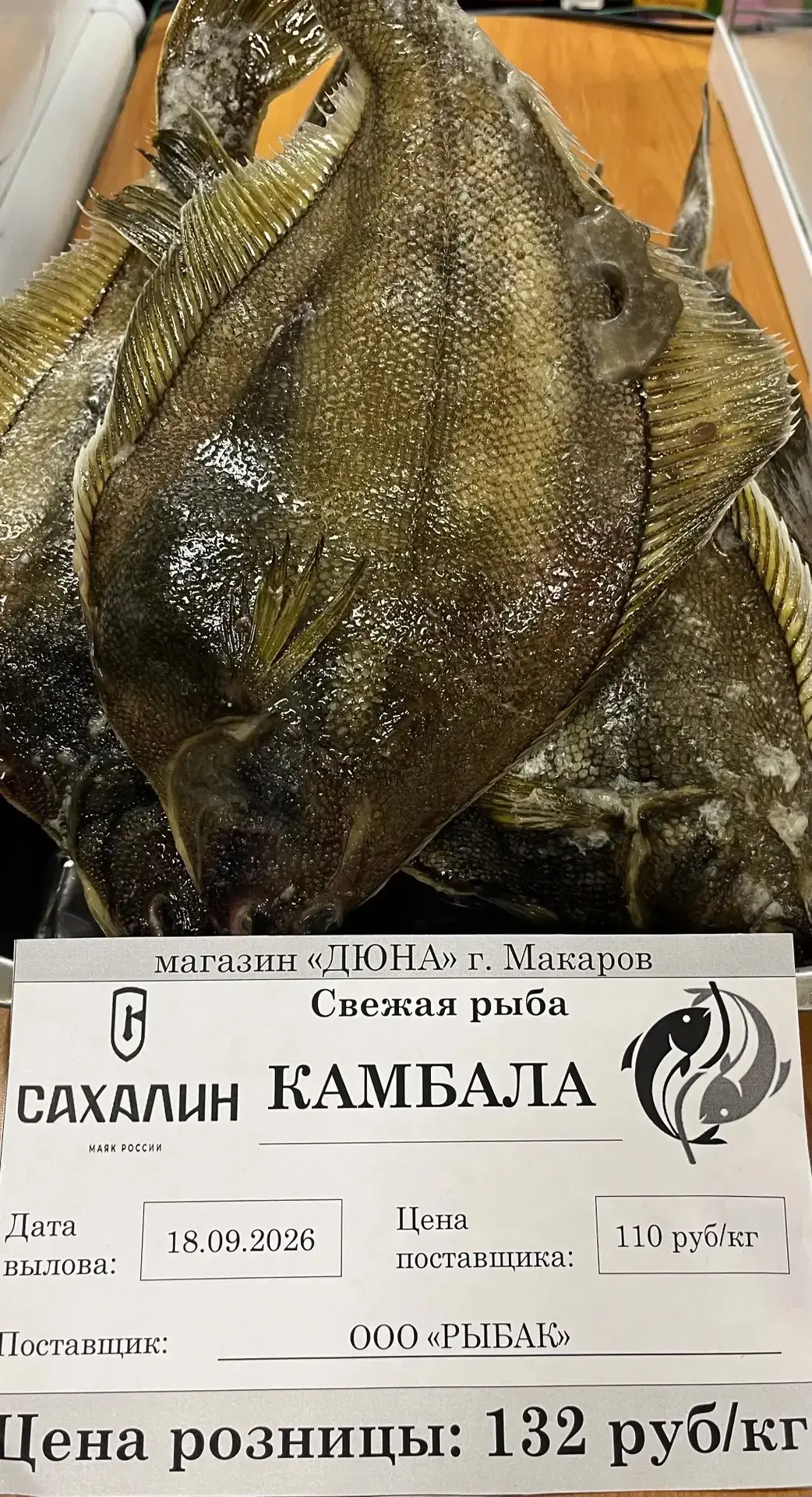 Сегодня в торговых объектах города реализуется камбала по 132 руб/кг:
