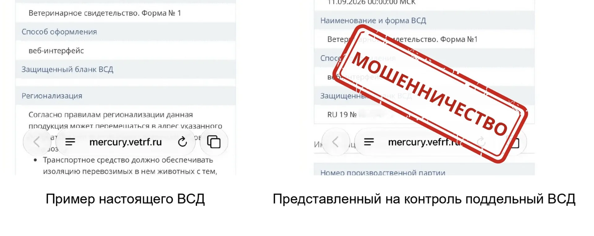 ❗️В интернете нашли поддельный сайт «Меркурия»