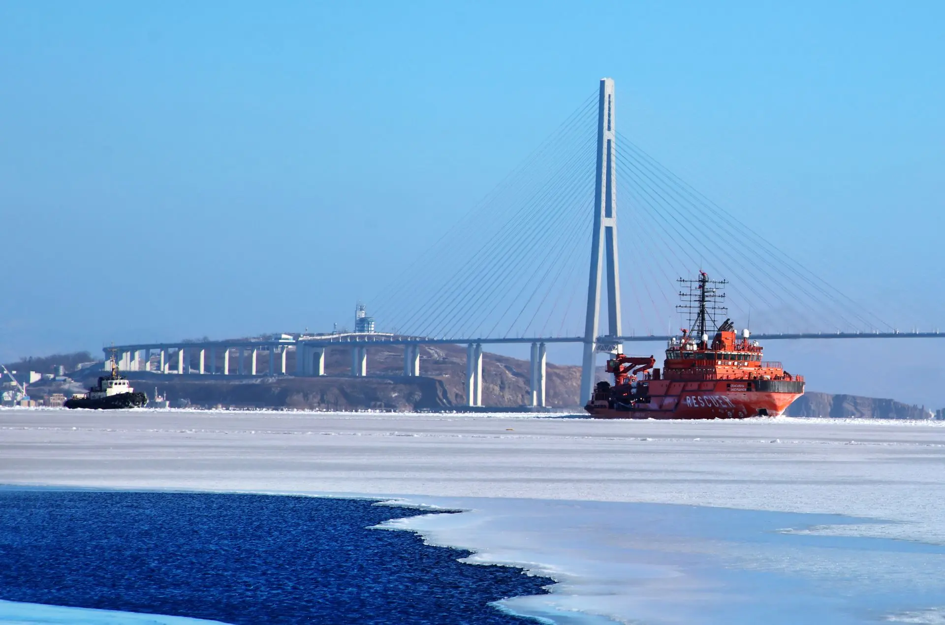 📅 Июль – месяц Приморского филиала

⚓️️ Приморский филиал – одно из ключевых подразделений Морской 