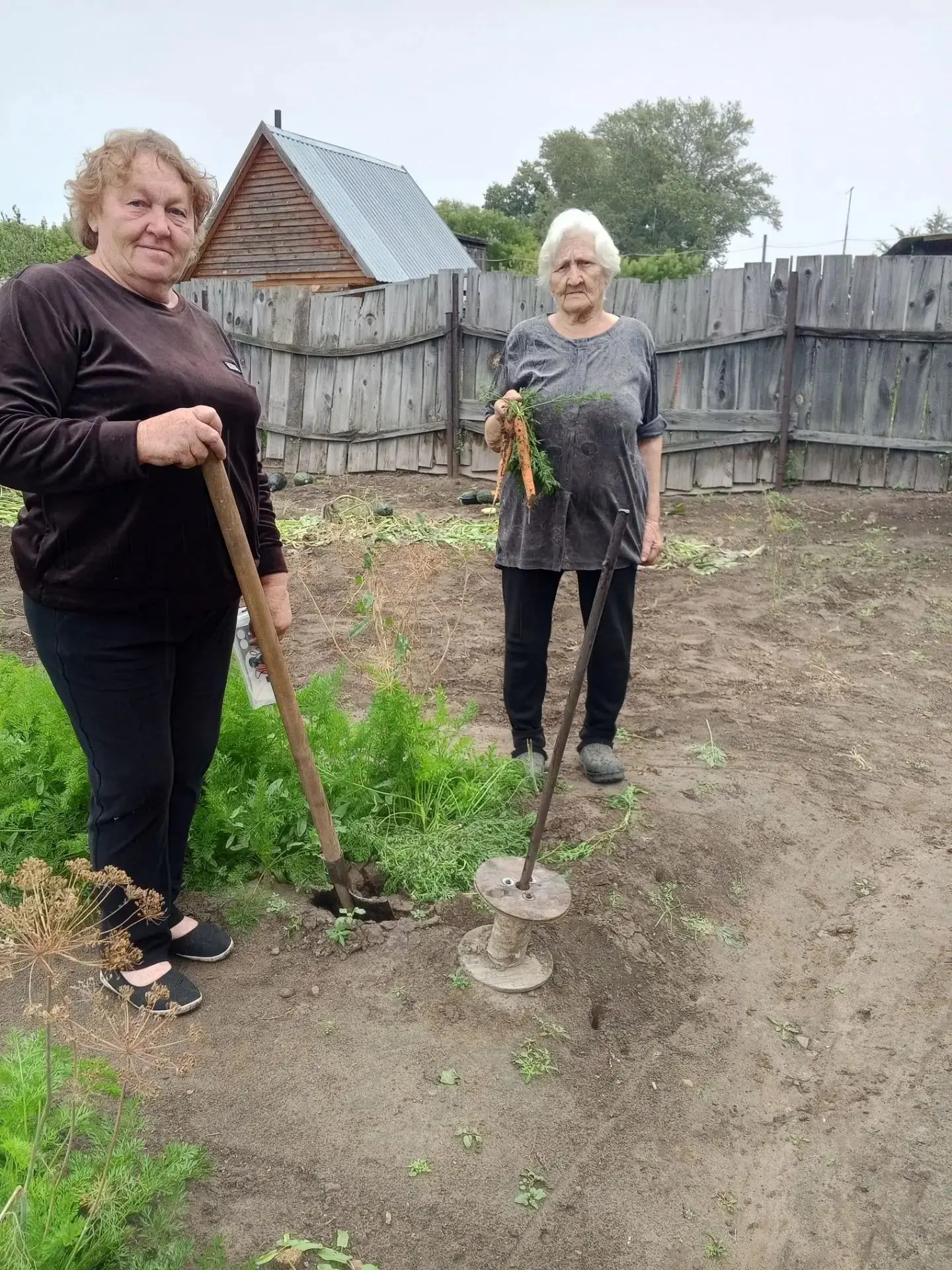 👵🏻Забота о пожилом человеке: доставка продуктов и медикаментов, помощь в приготовлени...
