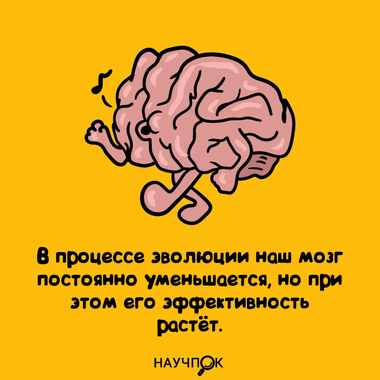 Научпок | Подписаться