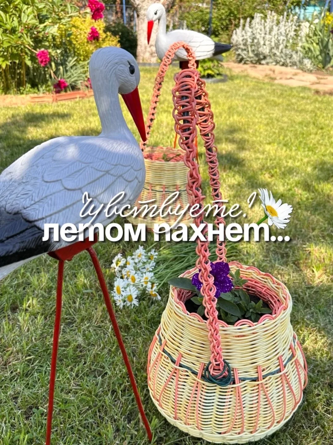 Всем привет, немного летнего аврала. Но я не пропала😂

У меня нет администраторов. Снимаю видео и м