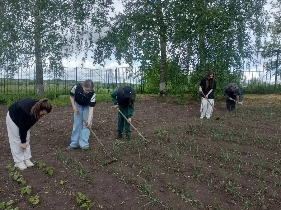 Июнь. Летняя трудовая практика на пришкольном учебно-опытном участке.