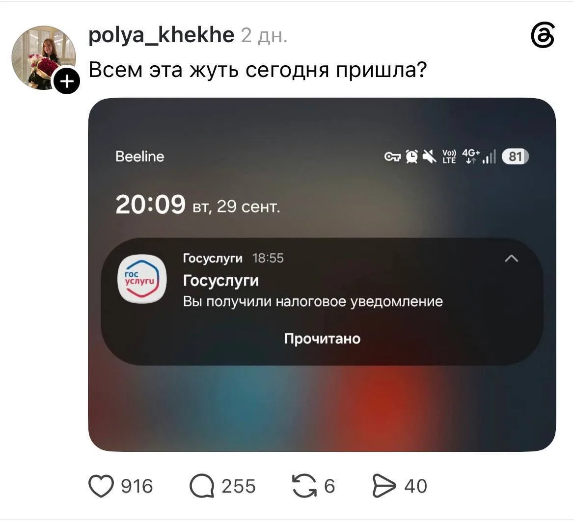 Россияне массово ловят панику из-за «Госуслуг», куда прилетели уведомления о налогах с ...