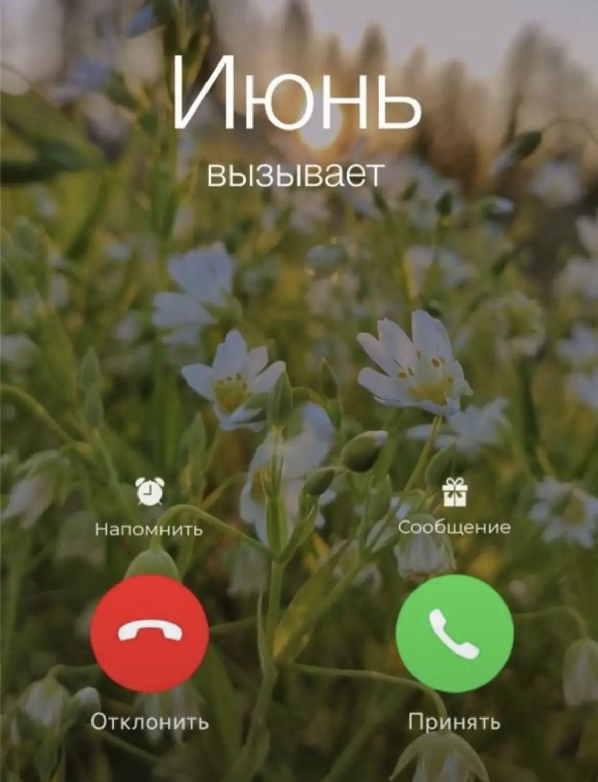 Чем заняться на прогулке? 

Подготовили пару простых, но интересных идей, как провести время с друзь