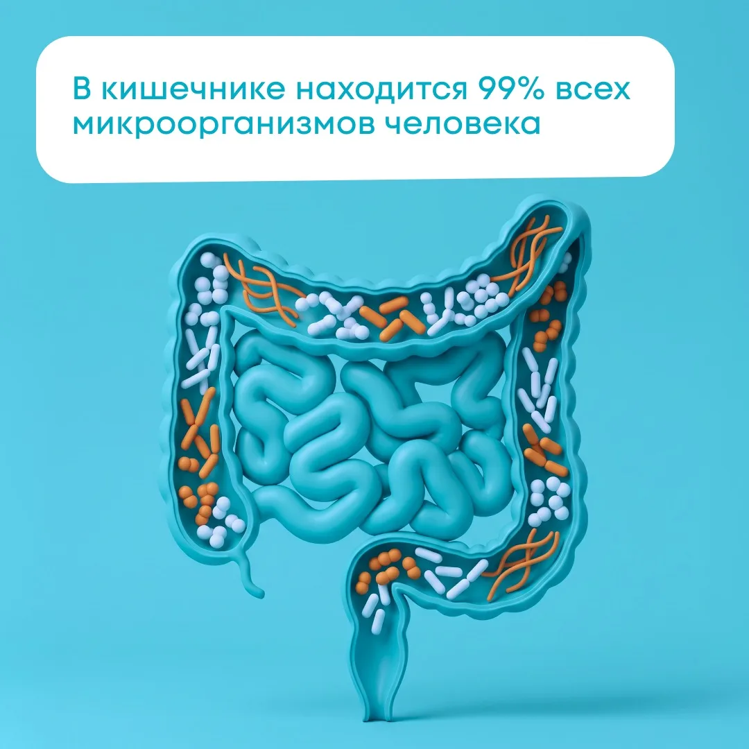 Почему кишечник называют вторым мозгом? 🧠

Ответ — в нашей микробиоте.

🦠Миллионы бактерий, грибов