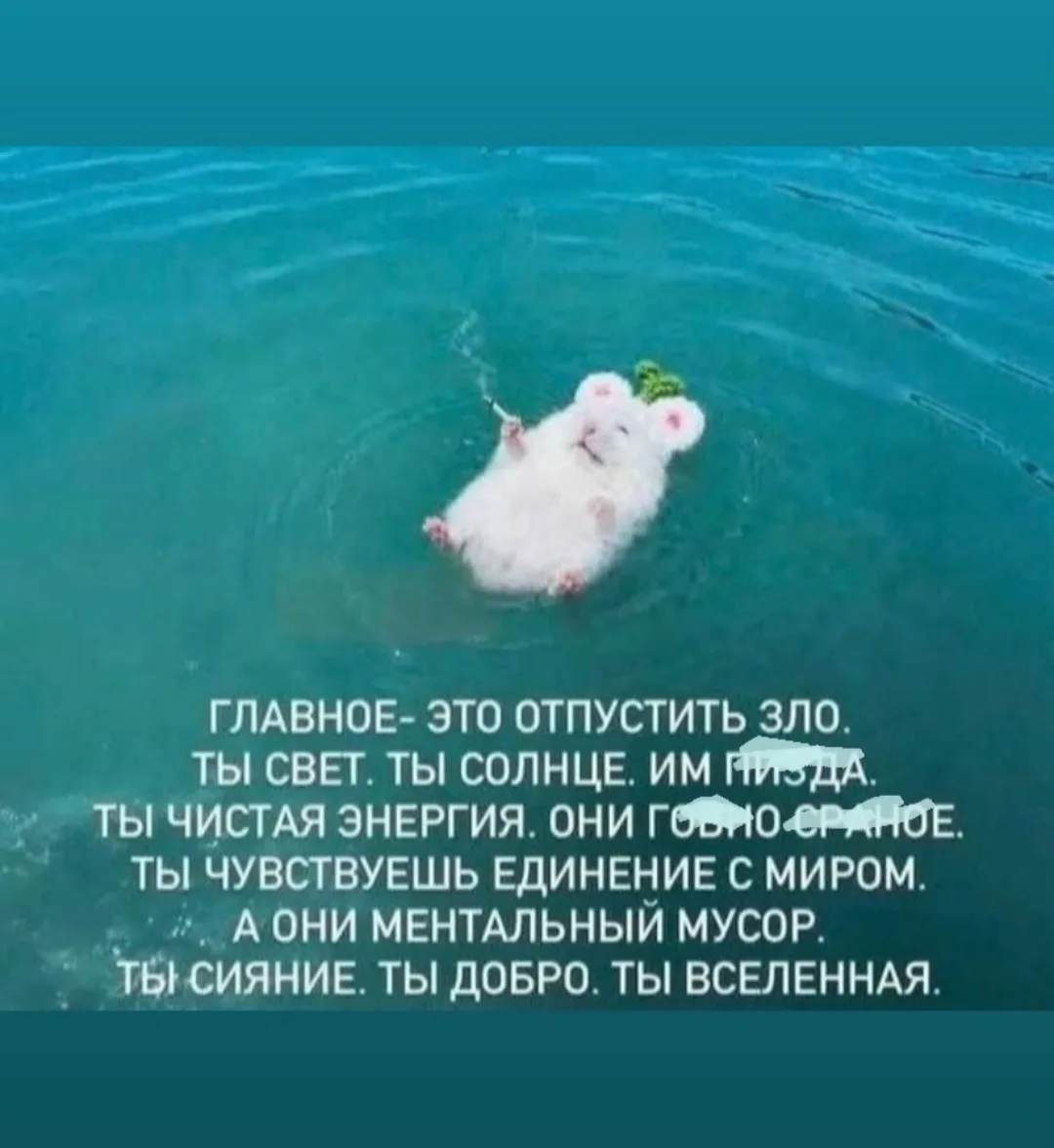 Ну что время утренней медитации?🤣🤣