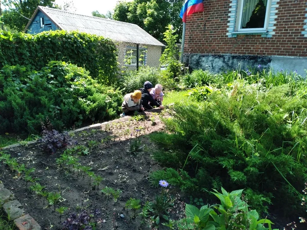 🌿 Труд в природе: учимся заботиться о мире вокруг!🌿

 В дошкольной группе п. Прохладное  прошёл де