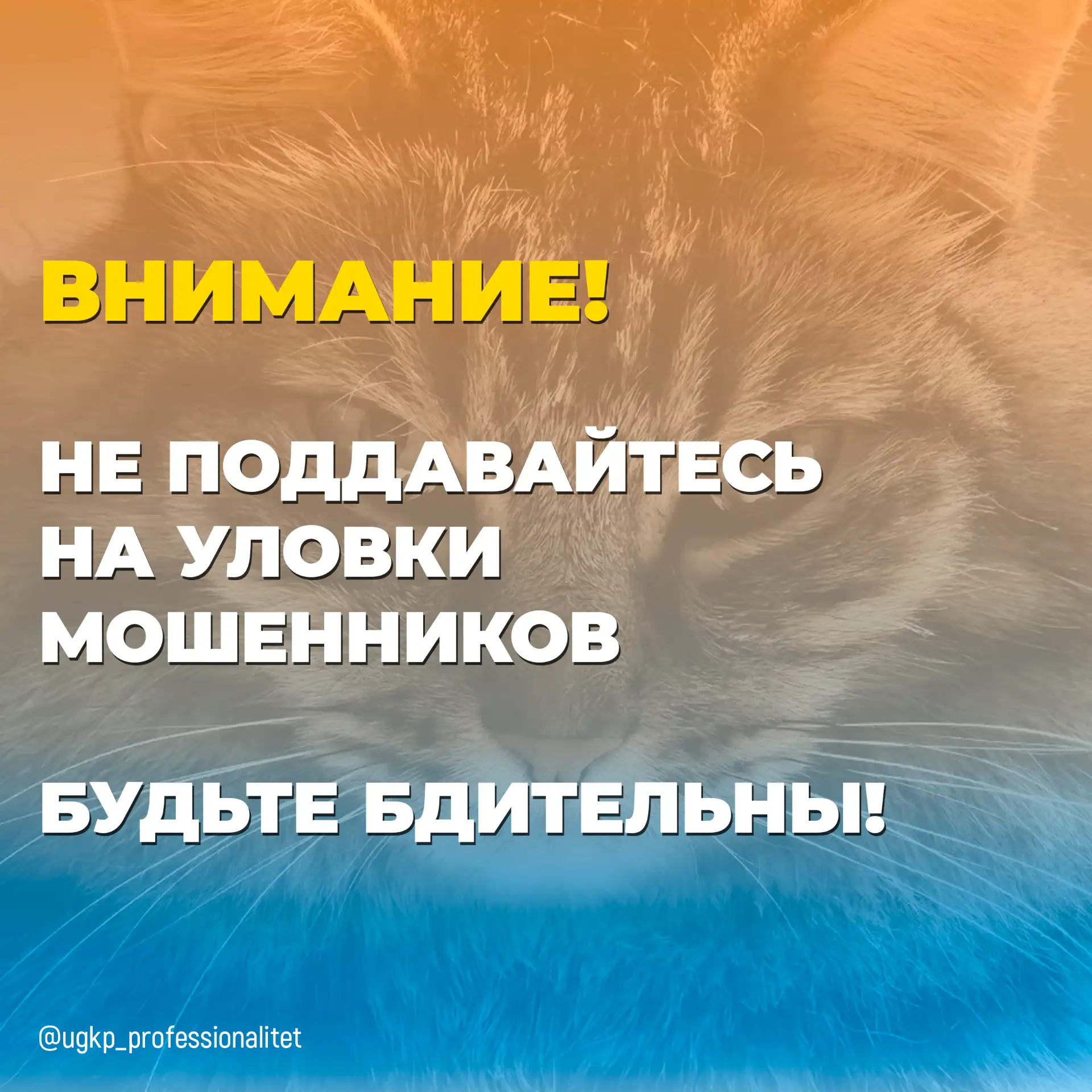 Уважаемые студенты, преподаватели, сотрудники и выпускники колледжа!

Предупреждаем каждого из Вас!
