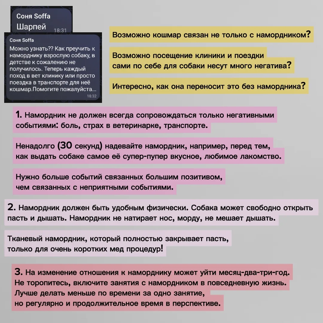 Вопрос про намордник