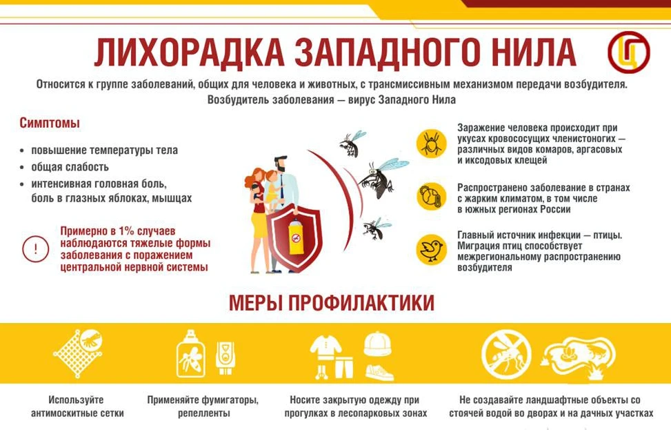 Лихорадка Западного Нила: что нужно знать жителям Барабинского района