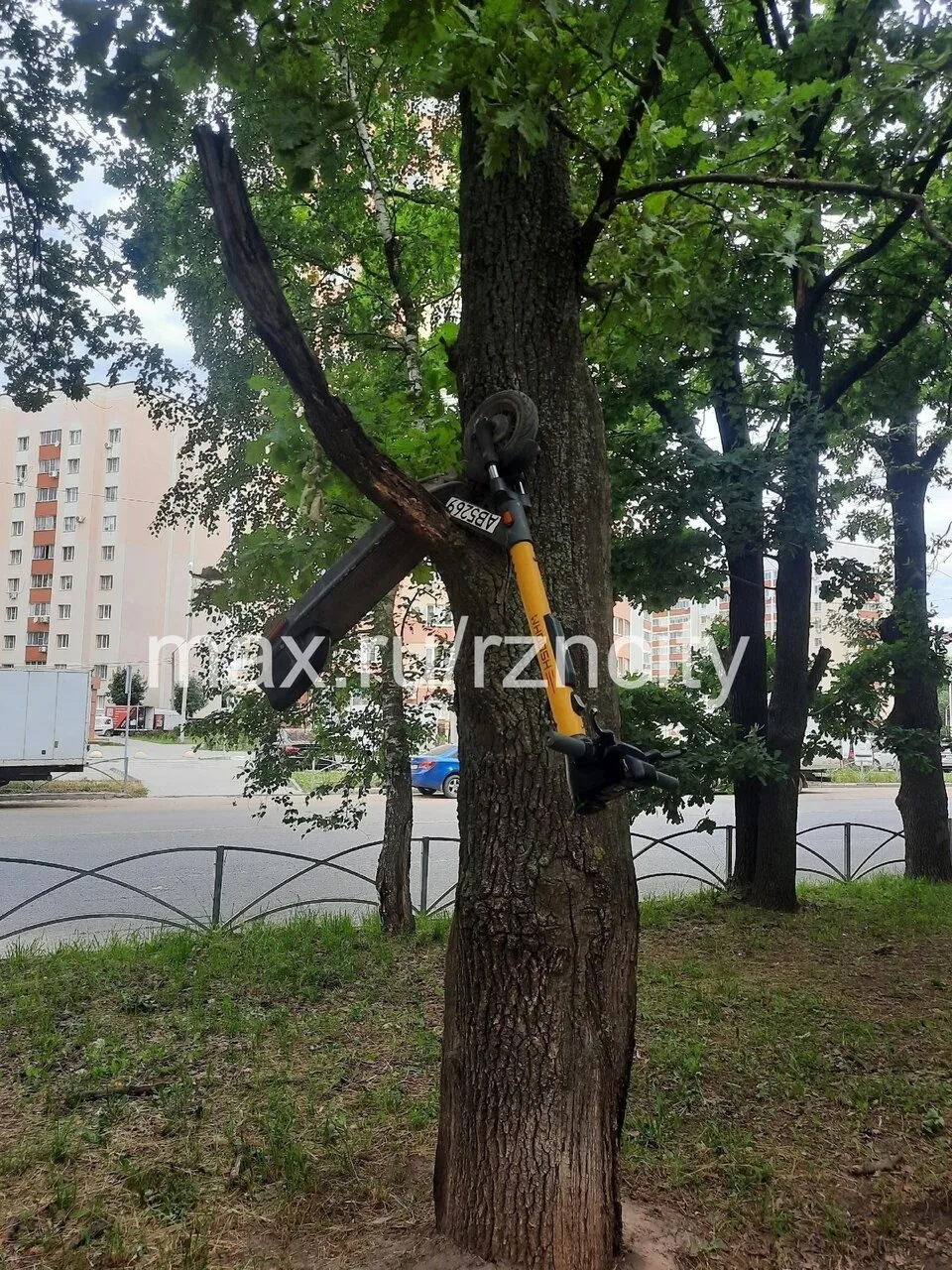 🛴 В Рязани заметили «летающие» самокаты: на Шереметьевской их закинули на дорожный зна...