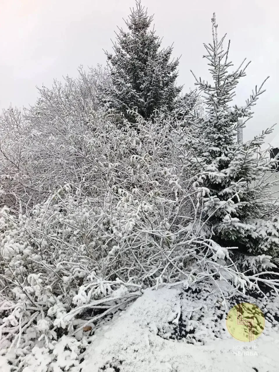 Только посмотрите, какая снежная красота на Зюраткуле ❄️