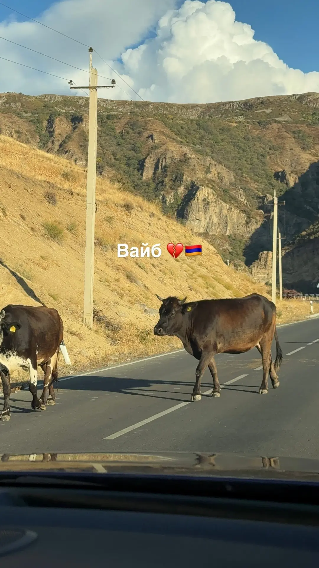 Армения не отпускает 💔
