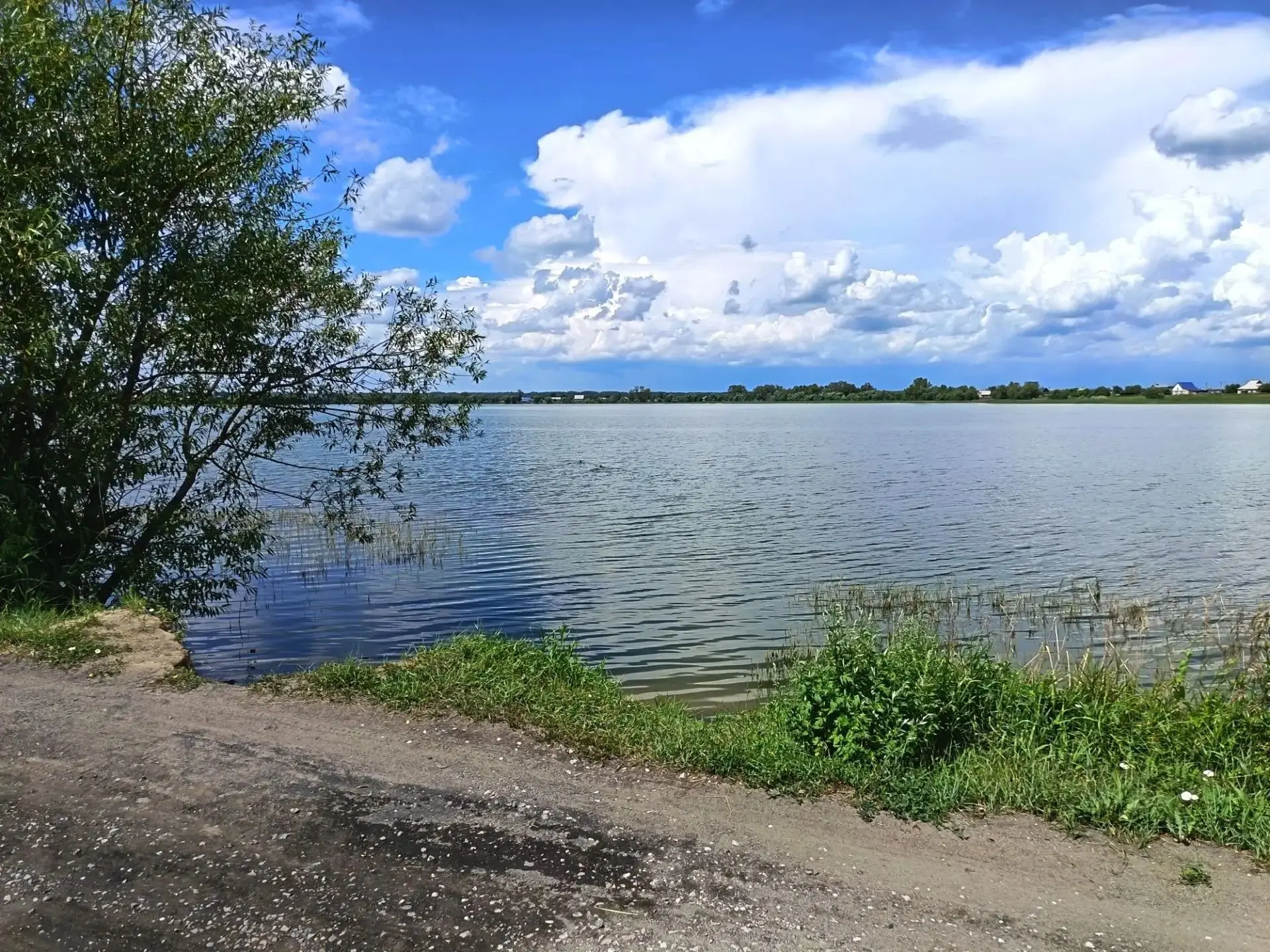 🛑Профилактические рейды на водные объекты❗️ 
👉В течение летнего периода учителями нашей школы и пр