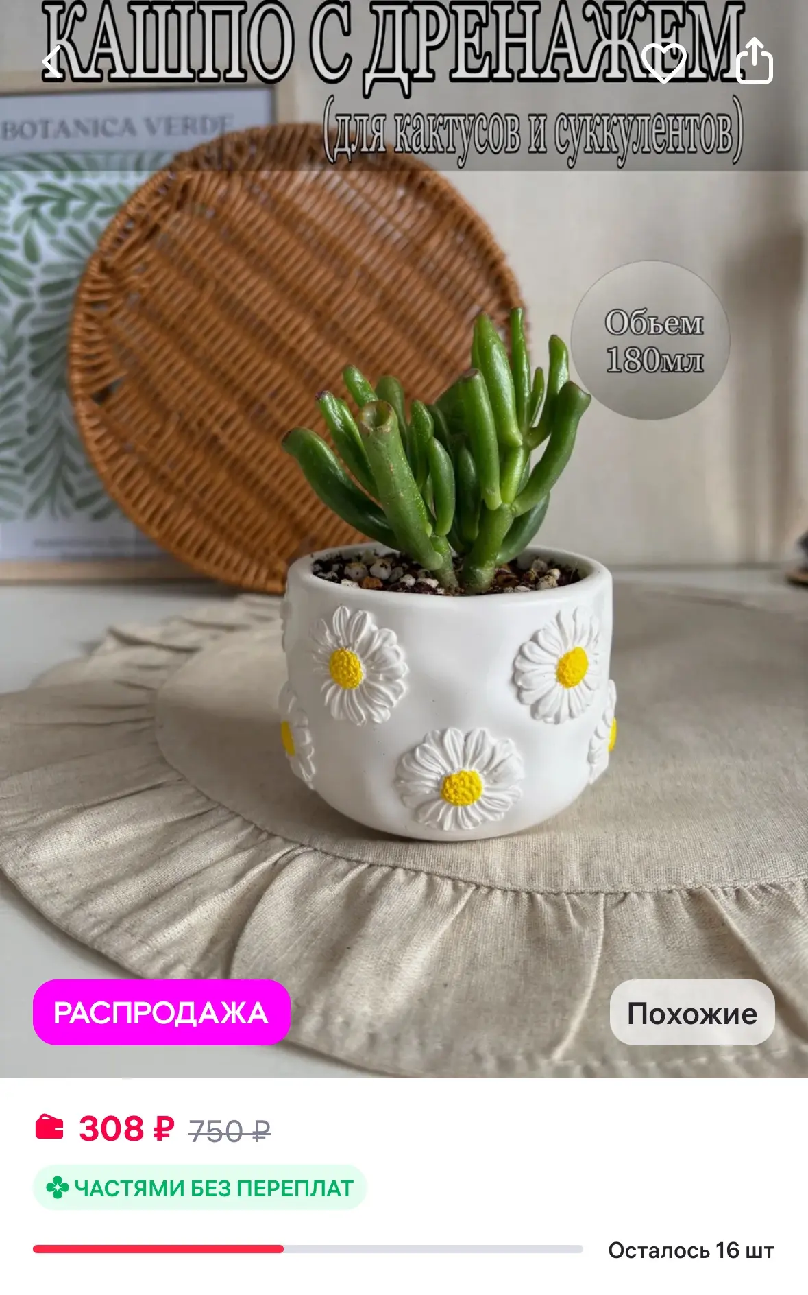 Кашпо для кактусов и суккулентов