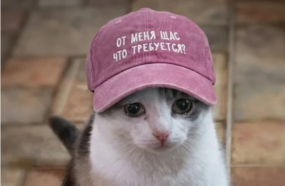 Третий день раздаю бесплатное обучение.