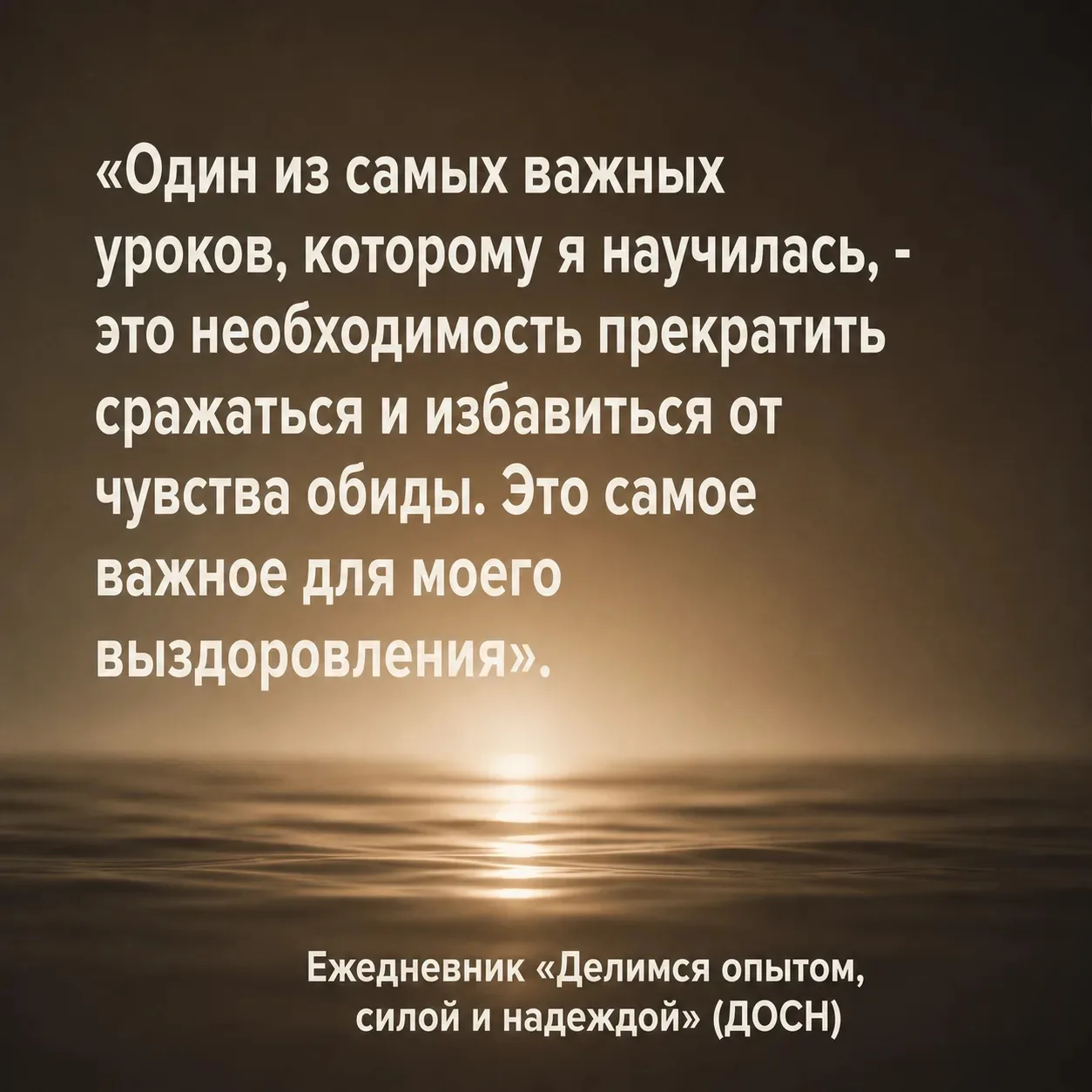 Ежедневник «Делимся опытом, силой и надеждой» (ДОСН)
https://shop-naranon.ru/product/ezhednevnik-del