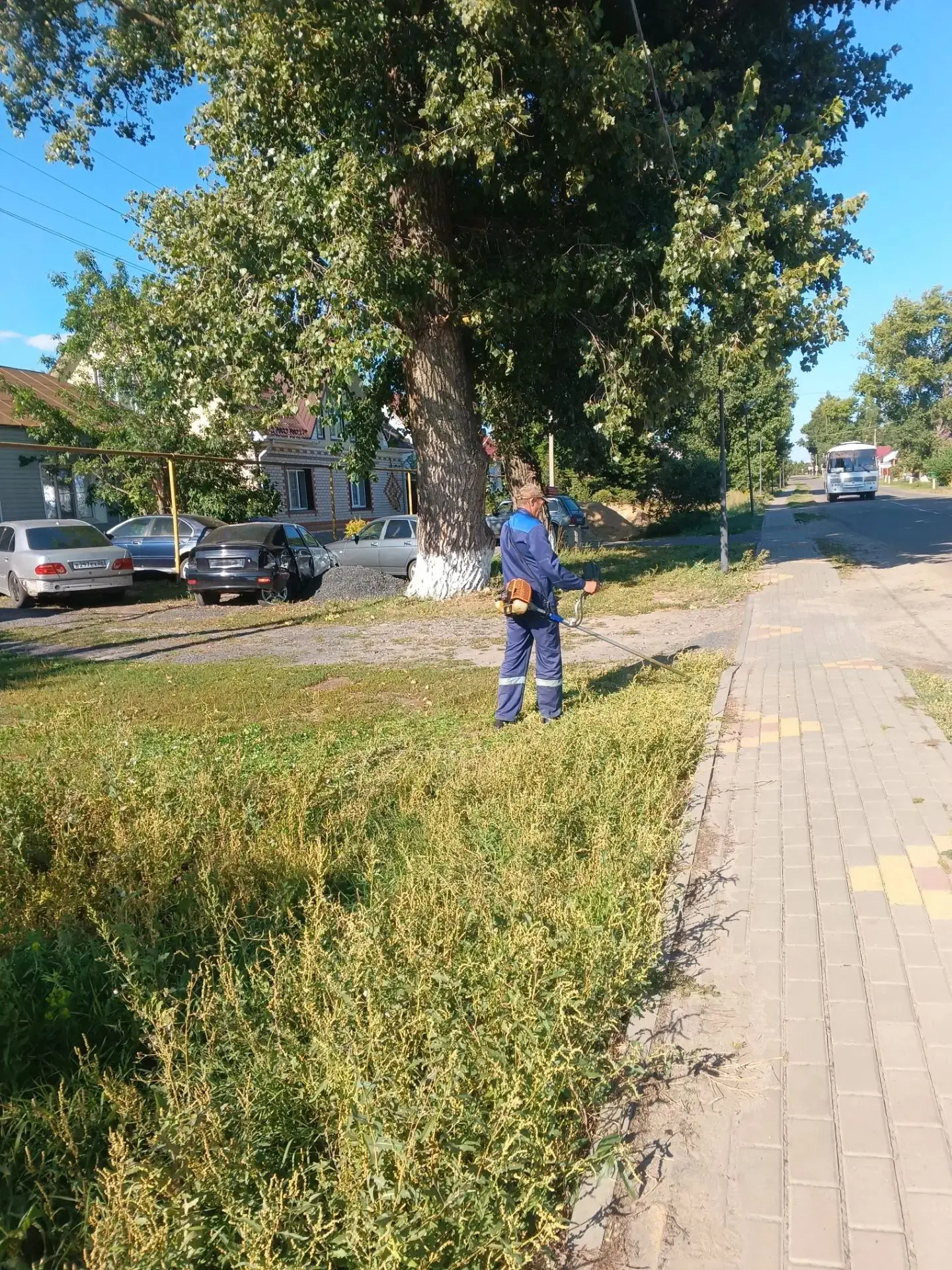 Всю неделю наши сотрудники проводили плановый покос травы.