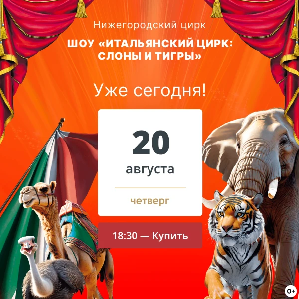 🎪 5 причин провести этот вечер в Нижегородском цирке