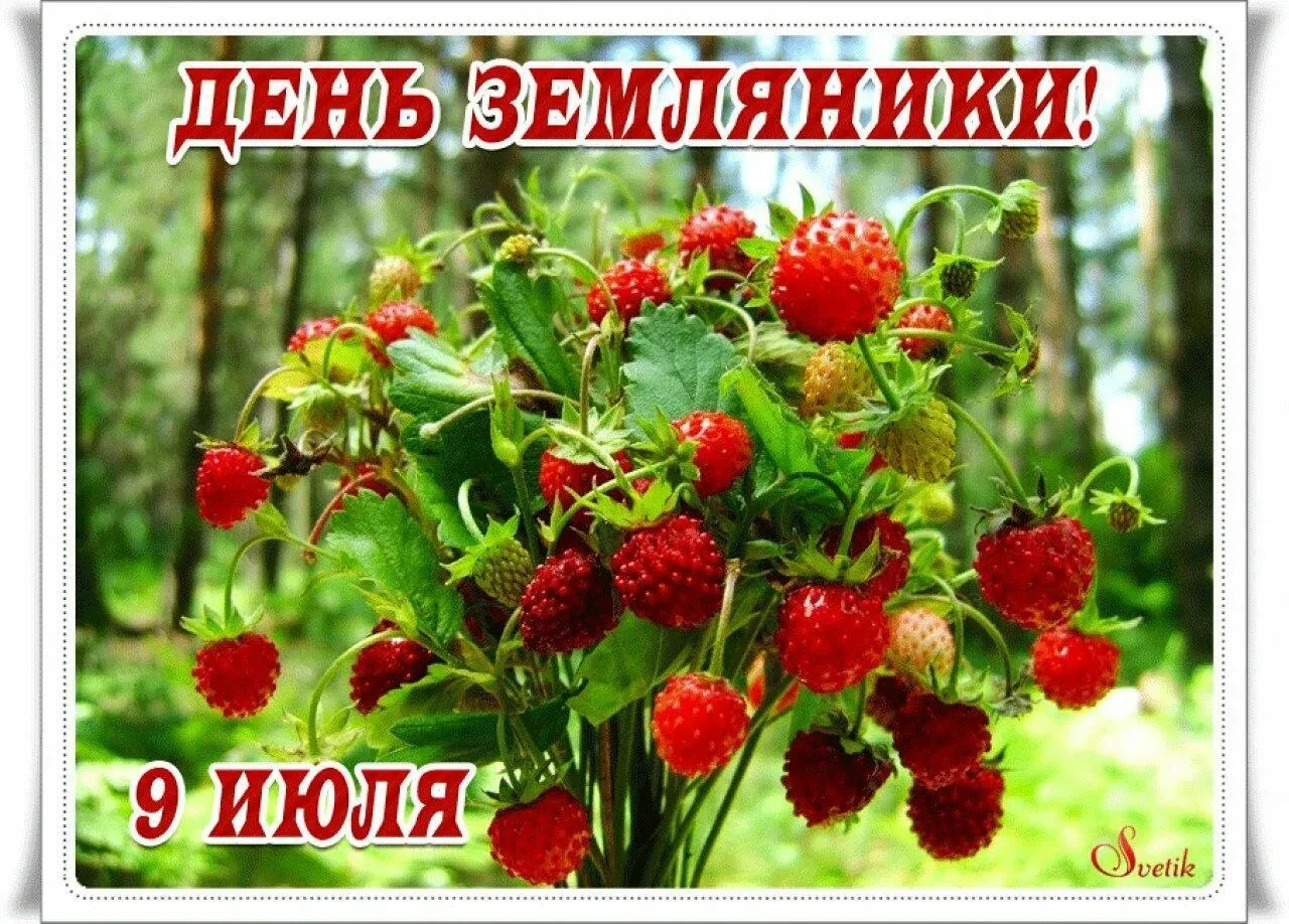 🍓 ДЕНЬ ЗЕМЛЯНИКИ 🍓

📅 В середине лета, когда воздух напоён ароматами трав, а солнце щедро греет з