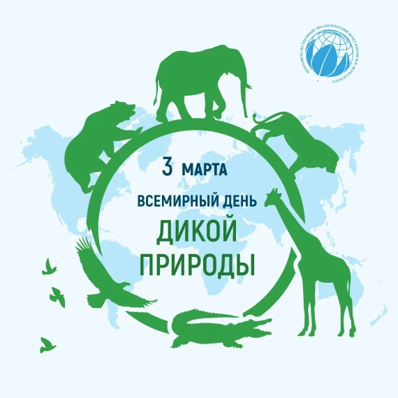 "Всемирный день дикой природы"🐻‍❄️🐺🦍🦔🐾🐰,  сегодня 3 марта в нашей группе прошёл т...