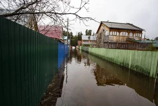 В Югре выросло число подтопленных участков

Из-за паводка в регионе подтоплены уже 135 приусадебных 