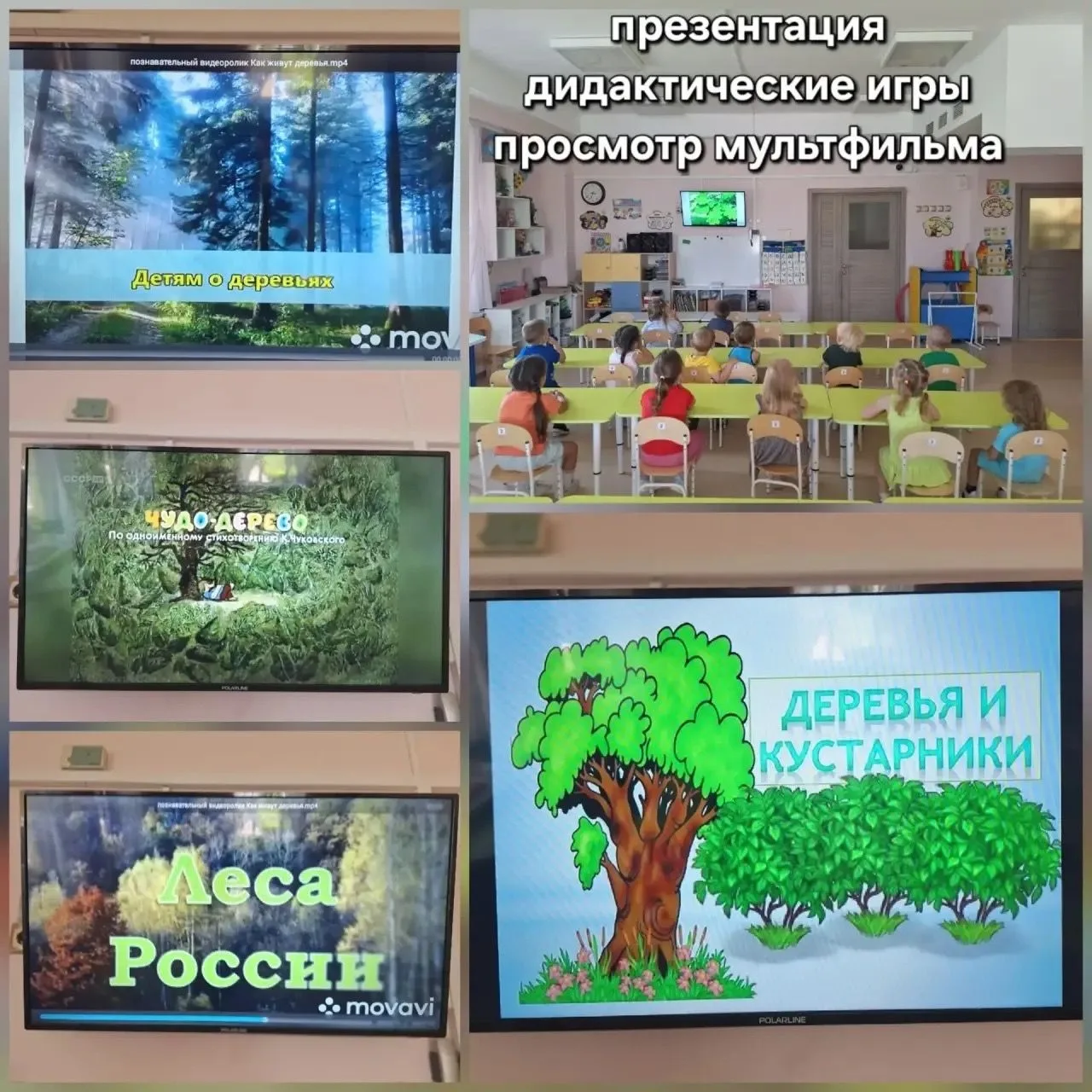 Группа "Теремок" на тематической неделе "Лесная неделя" расширяла знания о природе. Дети старались н