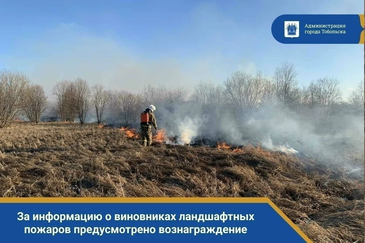 Внимание, тоболяки! В Тюменской области действует Порядок выплаты вознаграждений гражда...