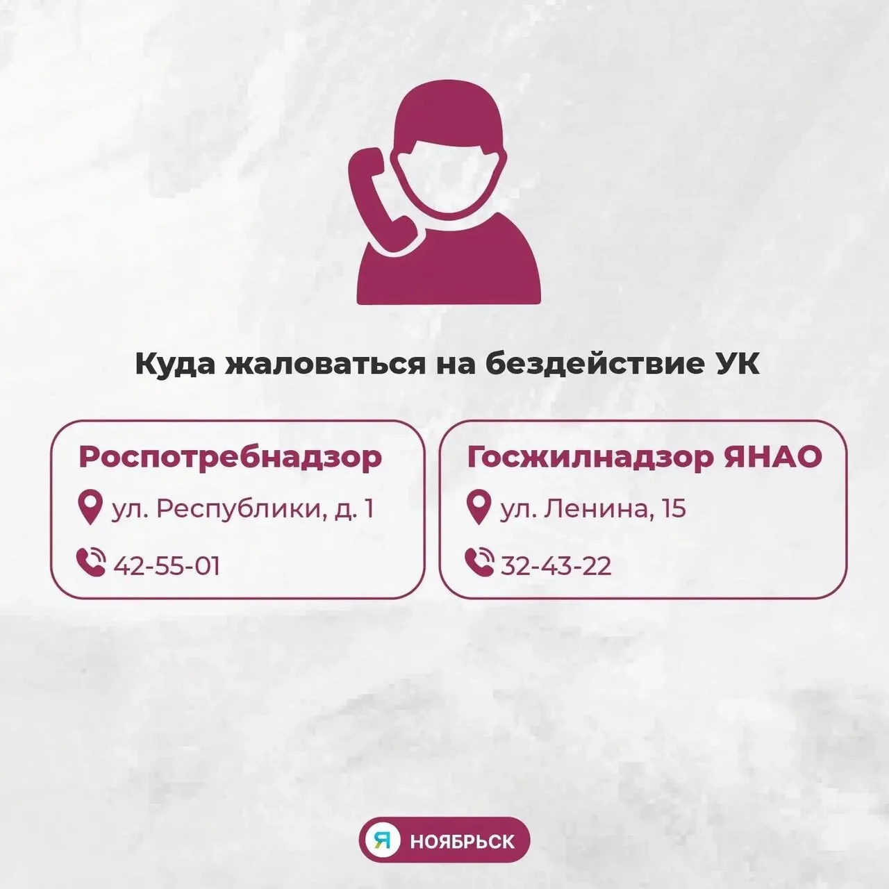 В домах Ноябрьска жалуются на насекомых