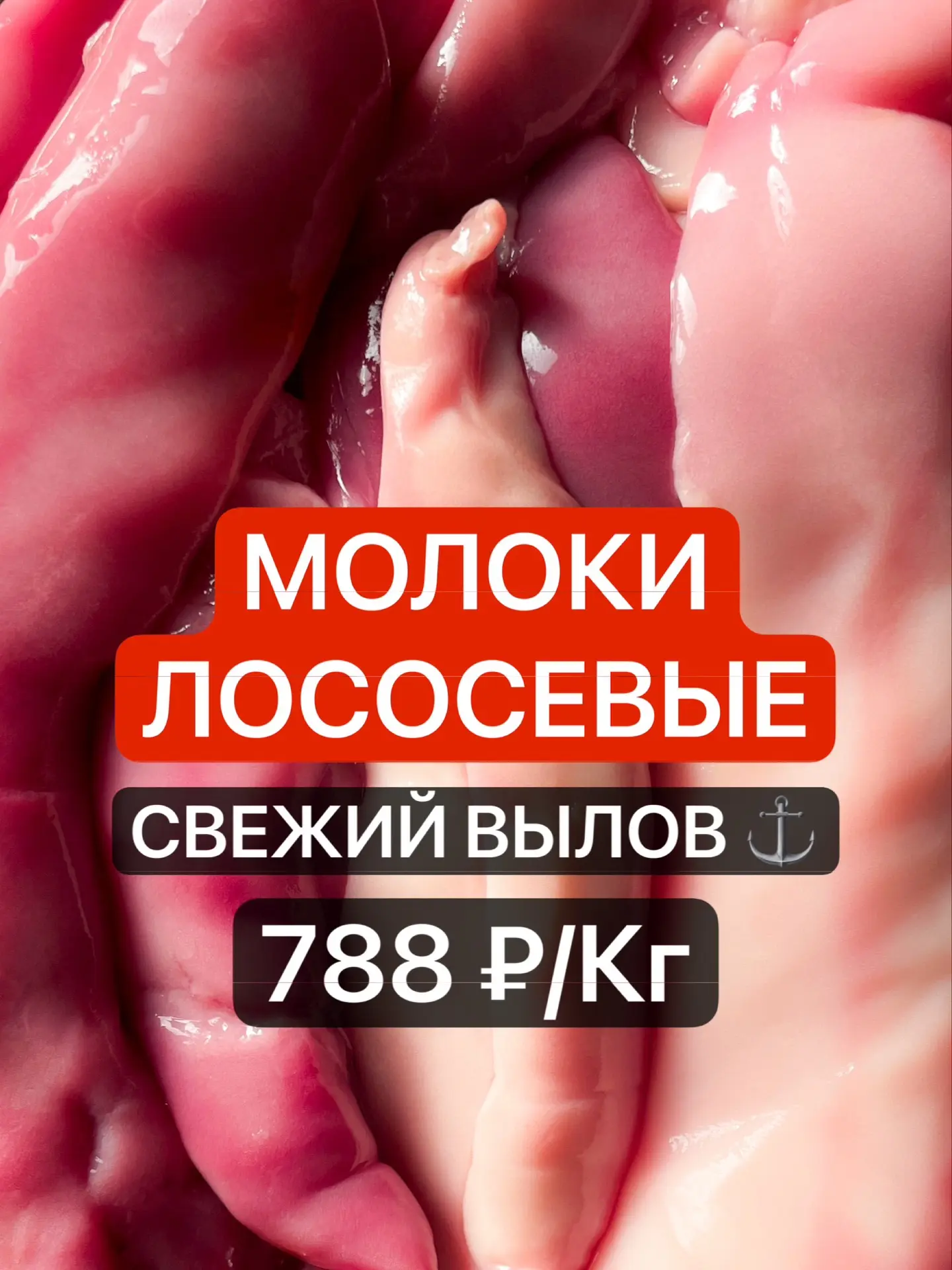 🐟 МОЛОКИ ЛОСОСЯ. СВЕЖИЕ. ПРИВЕЗЛИ.