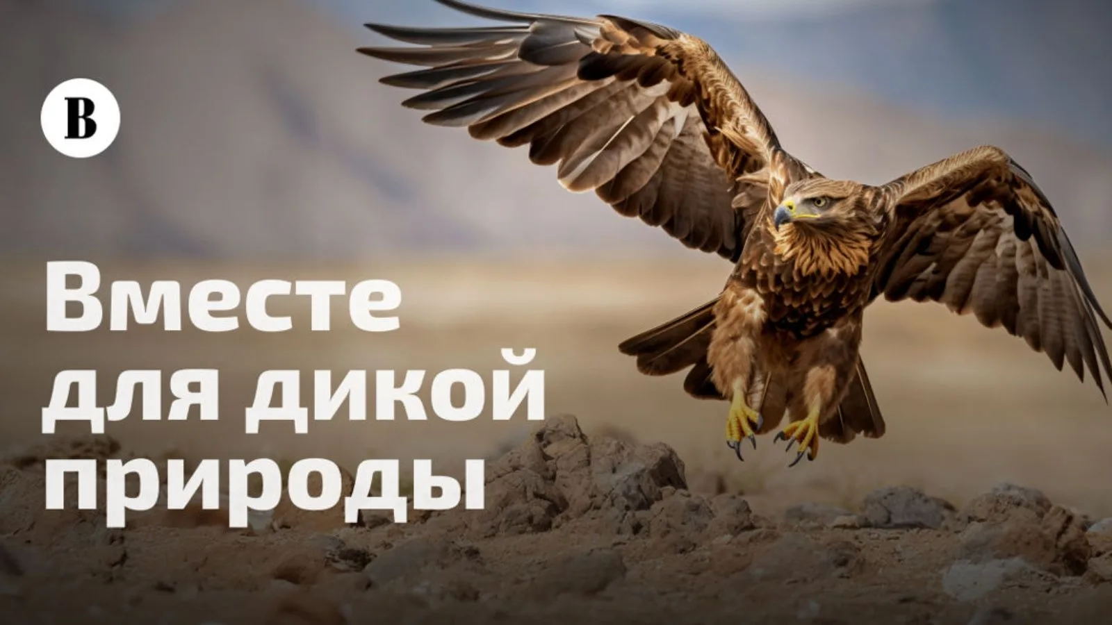 Голосование за будущее: выбери топ-100 самых уязвимых видов России!