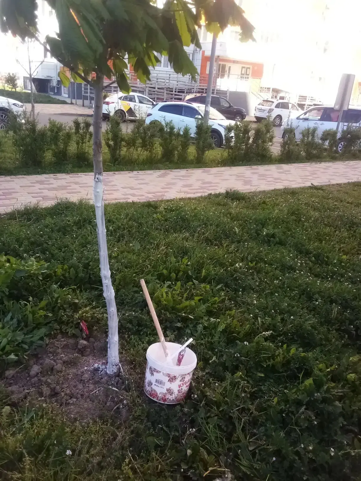 # 🌳🏡 Отчет о проведенных работах по благоустройству наших дворов!  Дорогие собственники многоквартир