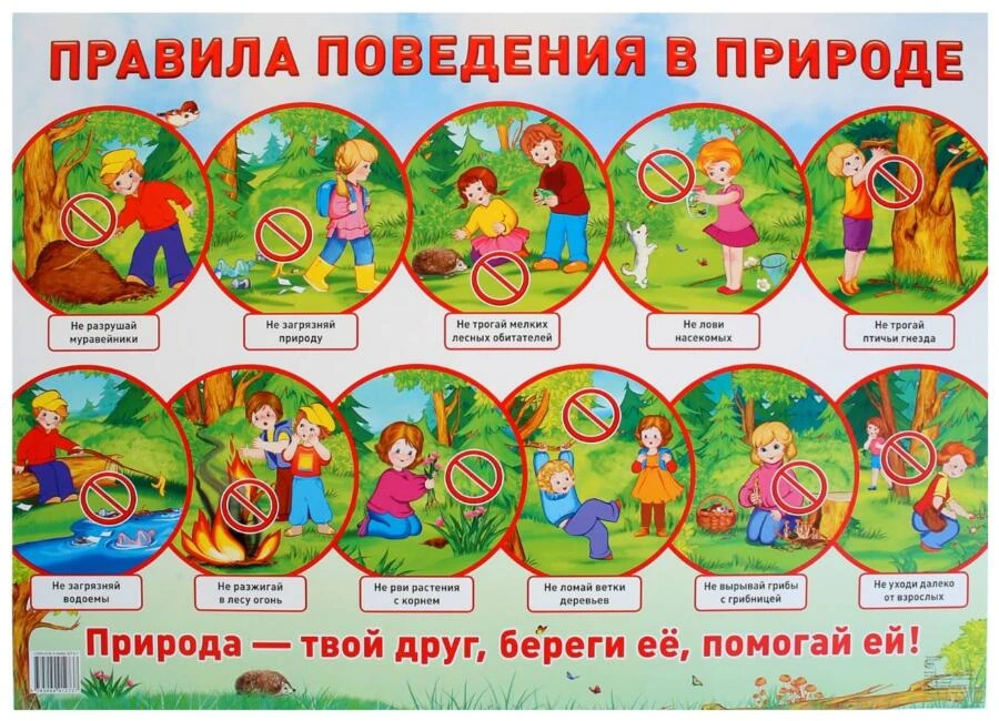 Вот 7 главных правил поведения в лесу для вашей безопасности и сохранения природы:
1. Сообщите о мар