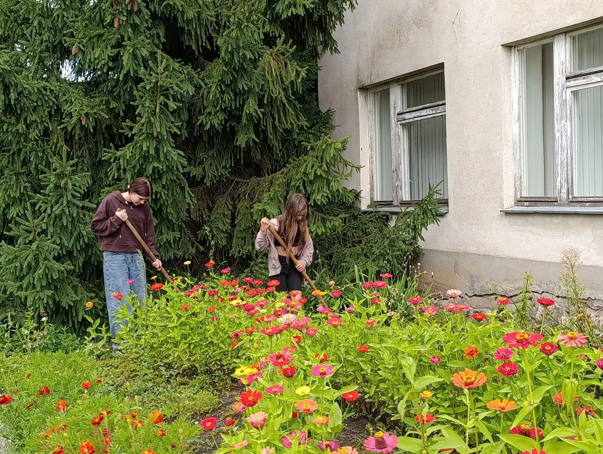 В рамках работы пришкольной площадки продолжается трудовая летняя практика.  Обучающиес...