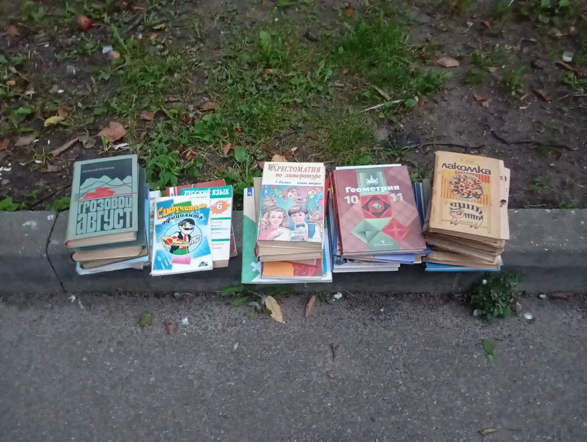 Подарить вторую жизнь: Черняховску остро не хватает книжных полок