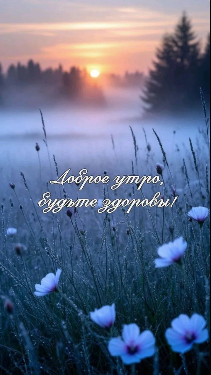 Доброе утро! 🌷