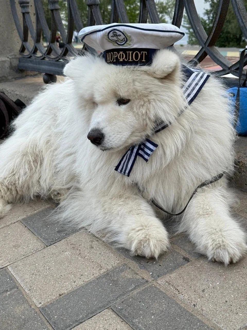 Центровой морячок 👍🏻⚓