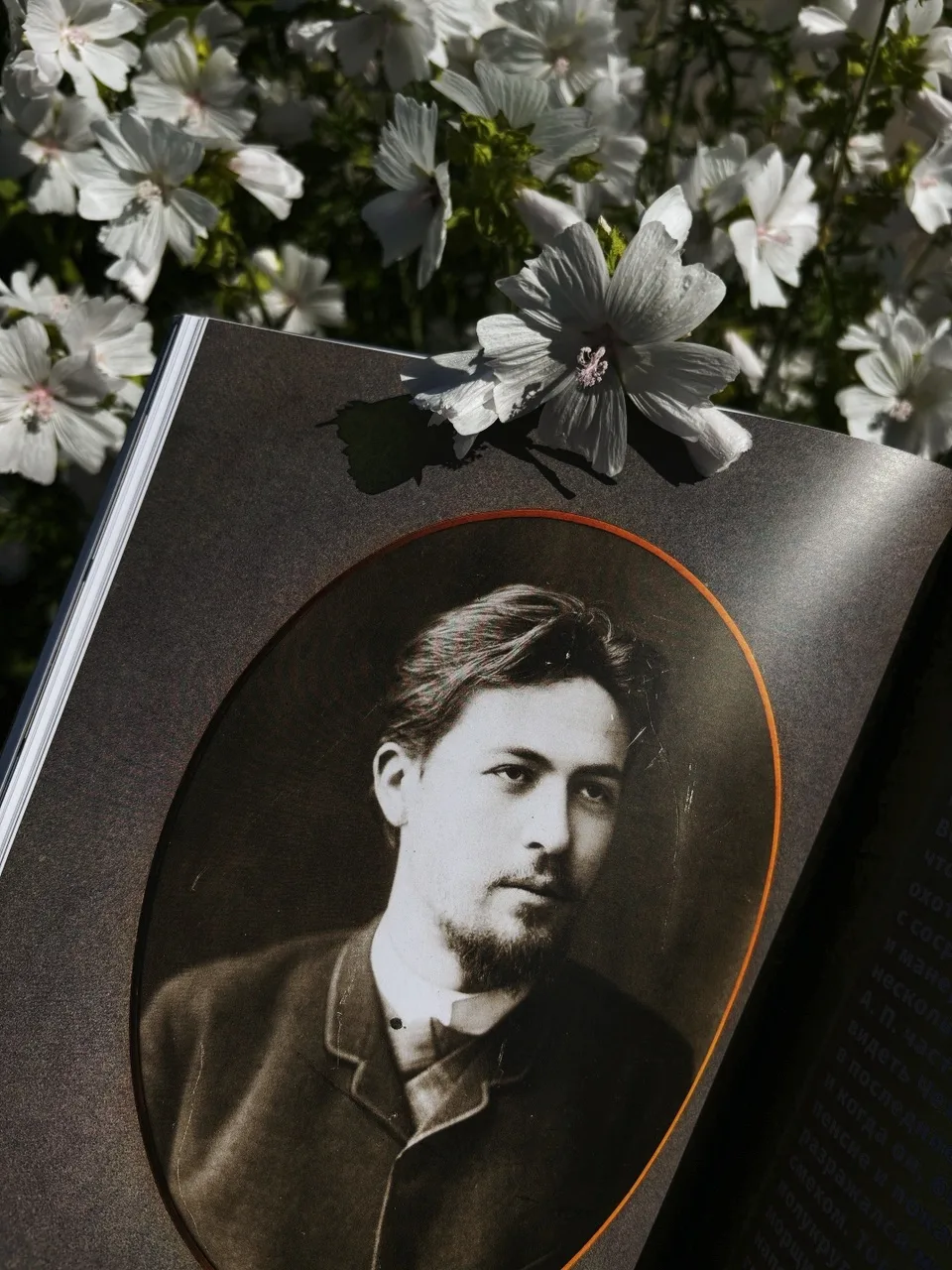«Всё, что веселило взор летом, в августе наводит уныние. Листья желтеют, трава ржавеет,...
