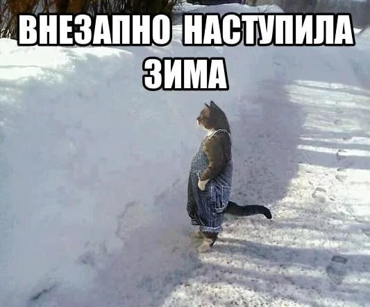 🌨 Мокрый снег придет на смену дождю в Омской области: точная дата.