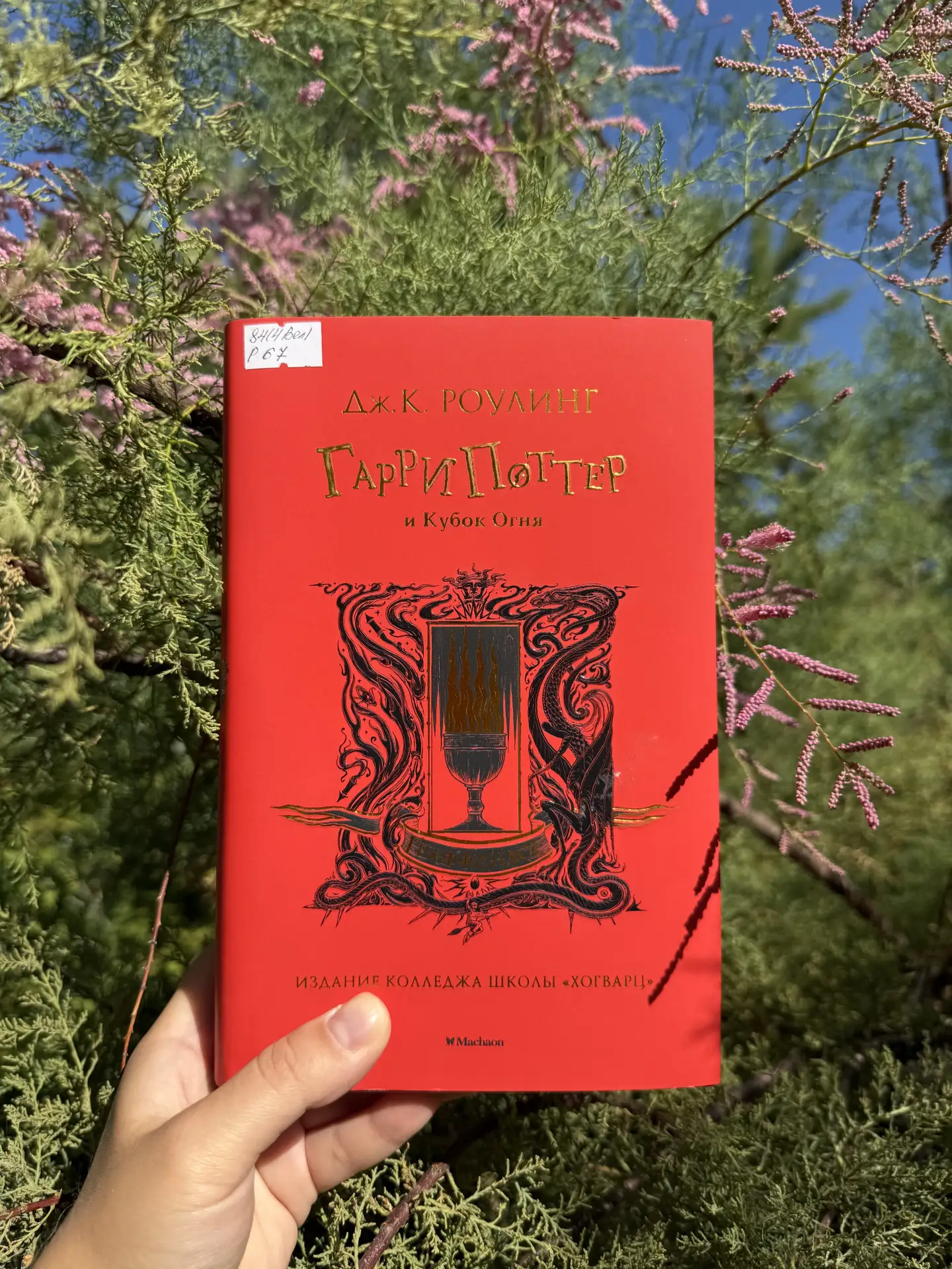 Кого читает молодёжь?📚
