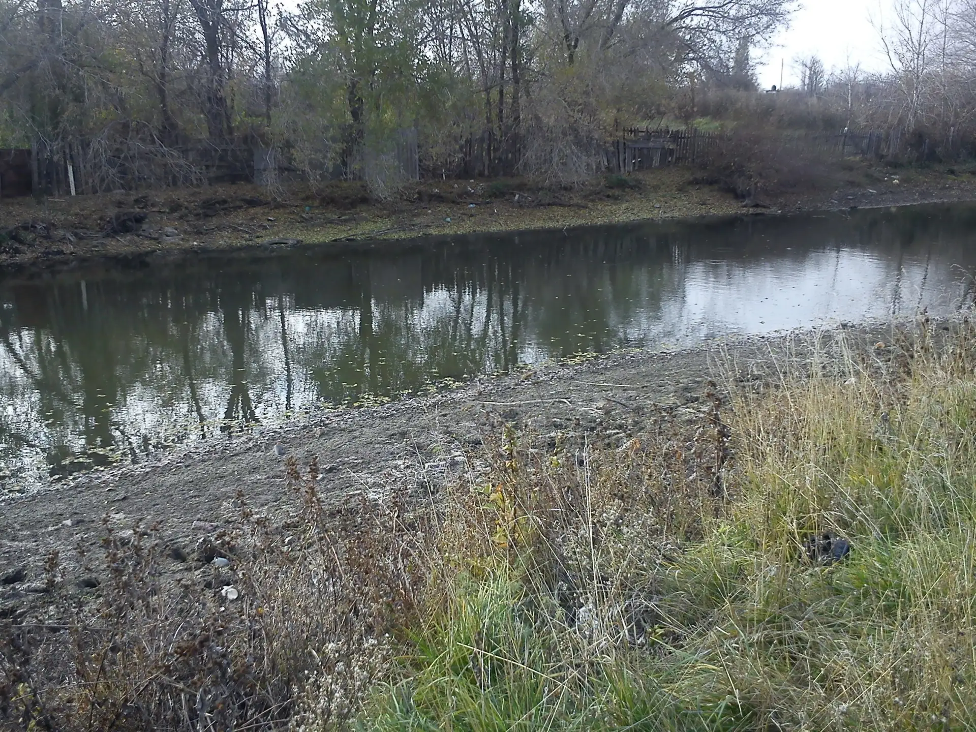 Присылайте Ваши фото в "Предложить пост"