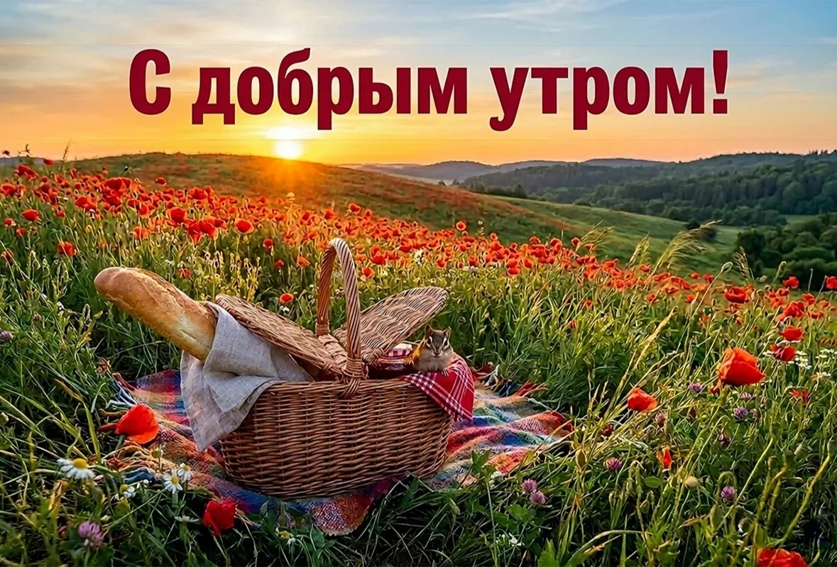 📰 Больше новостей в канале "Говорит Нижнегорский р-н"
https://max.ru/nignegorskii_rai

📥 ПОДЕЛИТЬС