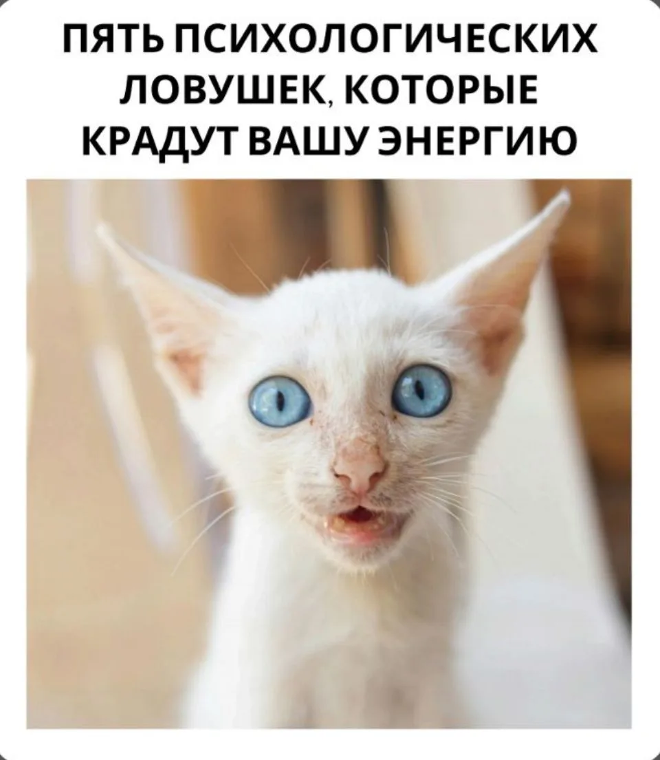 Пять психологических ловушек, которые крадут вашу энергию