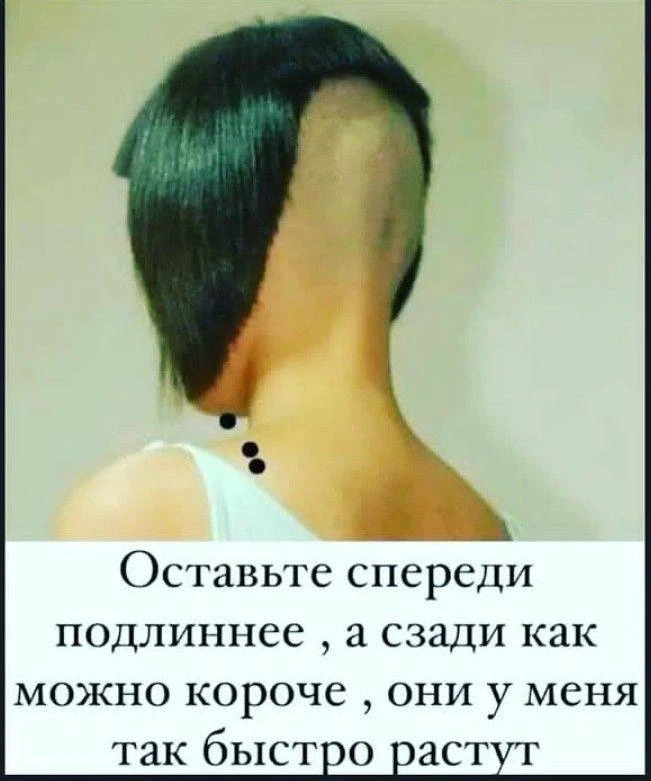 КУКУРУЗА 🌽
